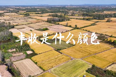 春種一粒粟，秋收萬(wàn)顆子。多彩的豐收季，只愿五谷豐登，百事興旺3.240_400.jpg