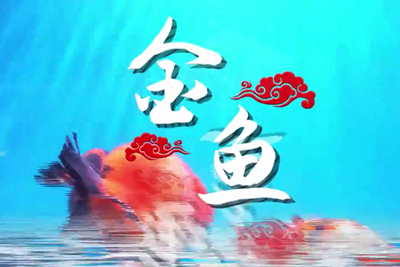 金魚歡躍，流光溢彩！_400.jpg